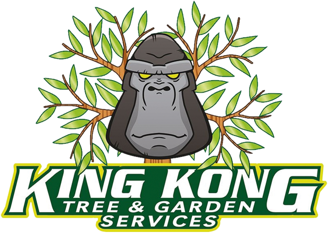 King Kong Tree Services