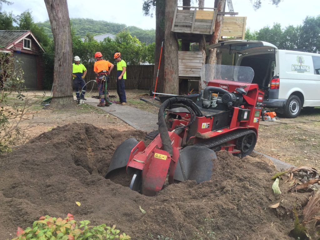 tree stump grinding services North of Sydney