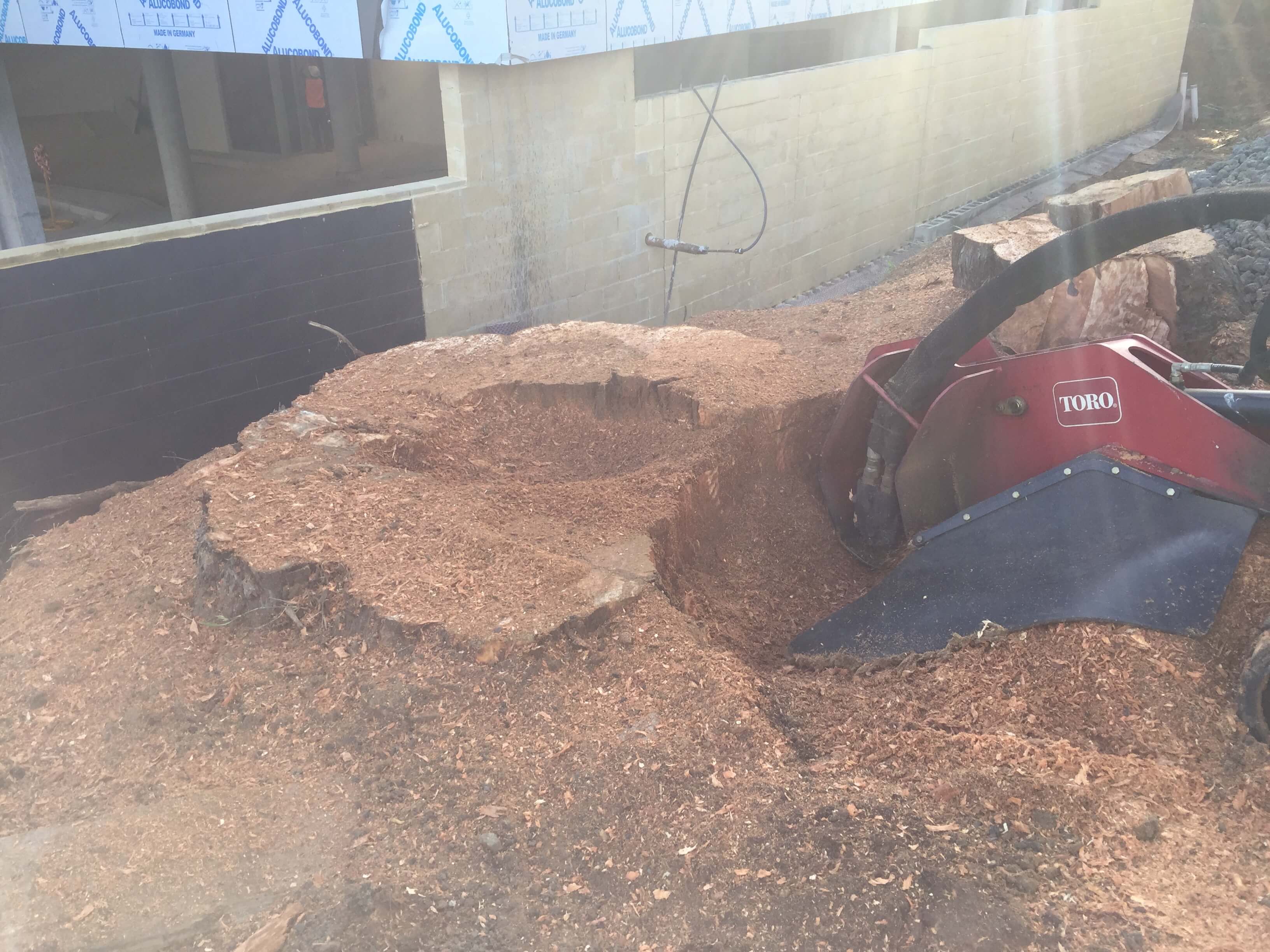 stump grinding services Central Coast, NSW