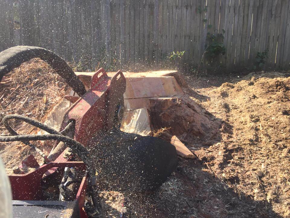 Tree stump grinding Central Coast NSW