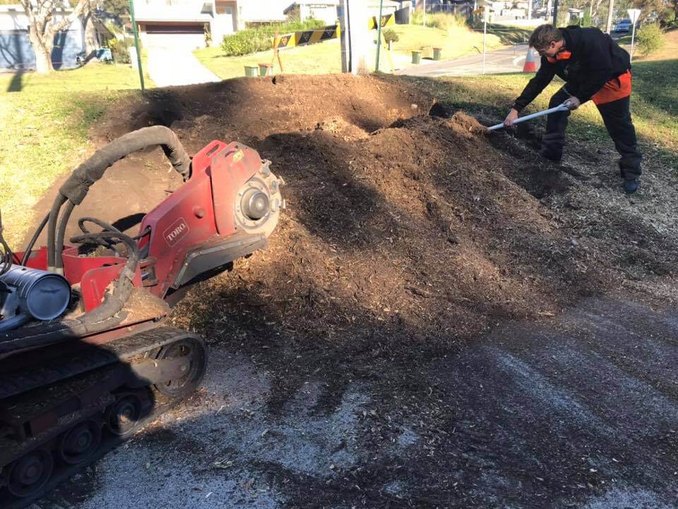 stump grinding at Narara