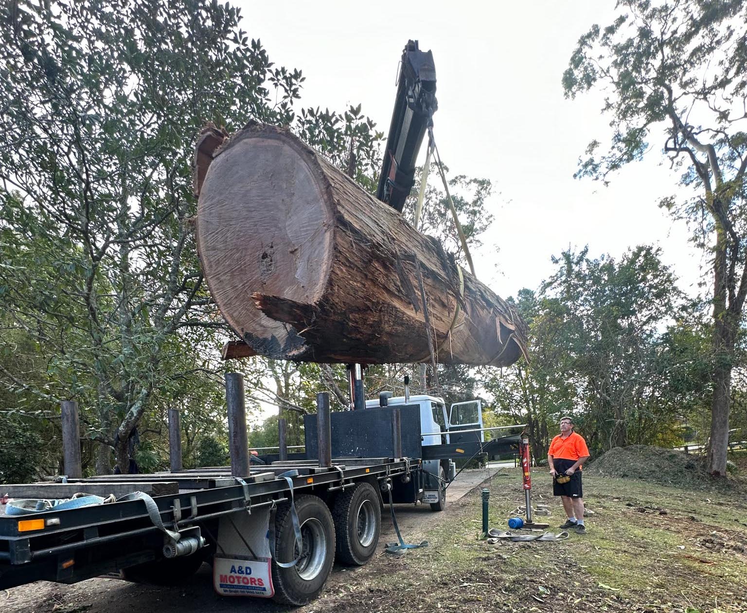 Arborist services on the Central Coast. Offering a wide range of tree care services.