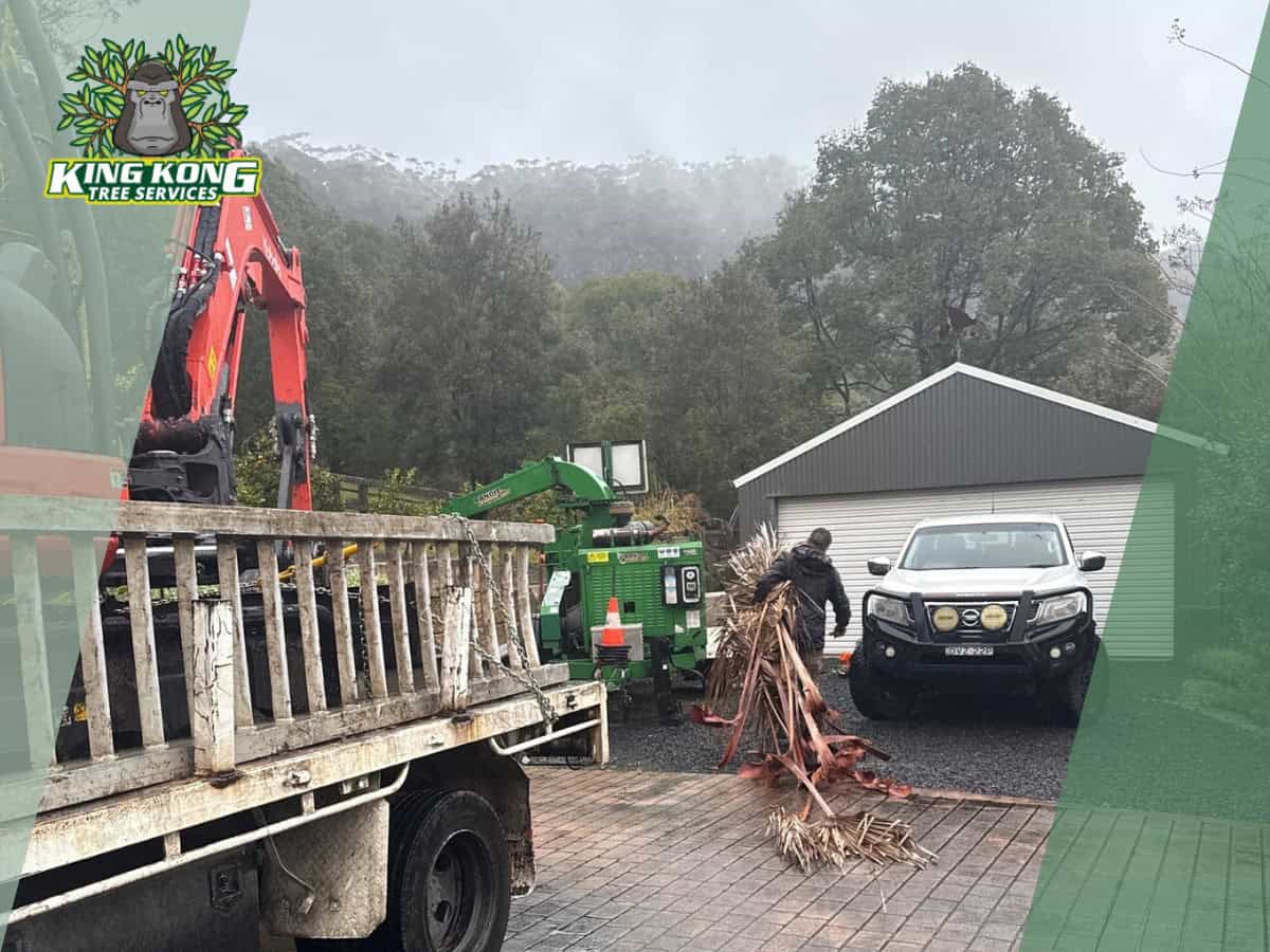 Block clearing near Mingara Recreation Club Tumbi Umbi