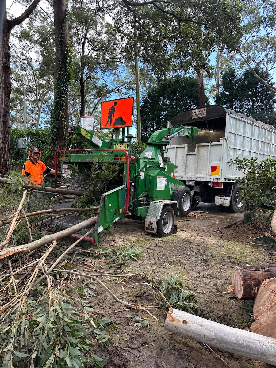 We provide reliable and safe tree removal and maintenance services for residential and commercial clients on the Central Coast.