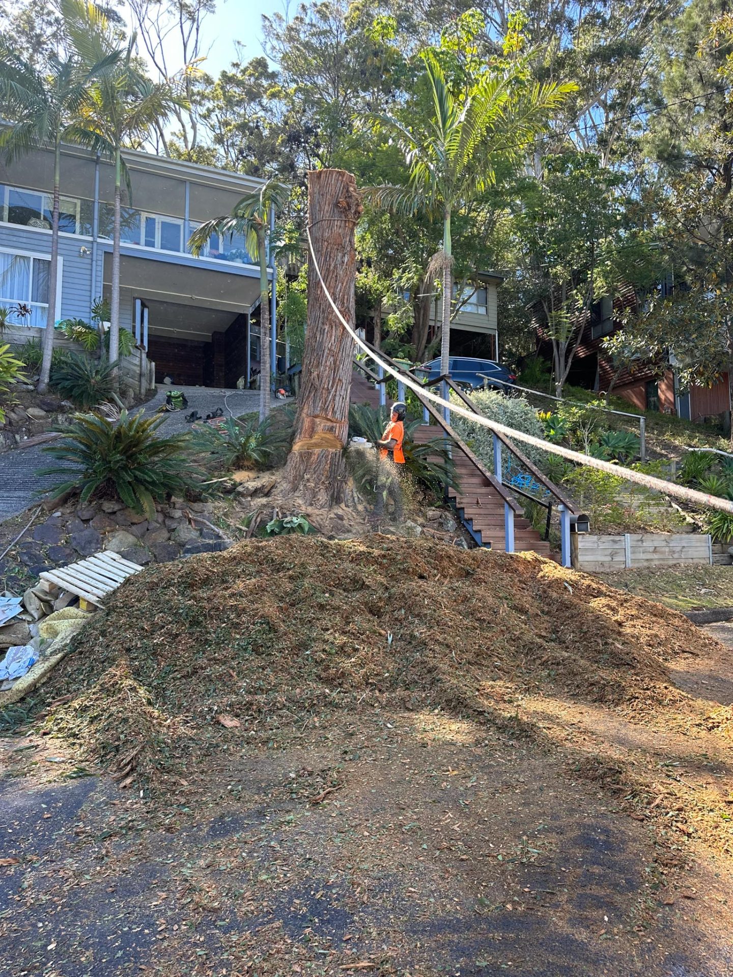 Mulch created from high quality wood chippings.