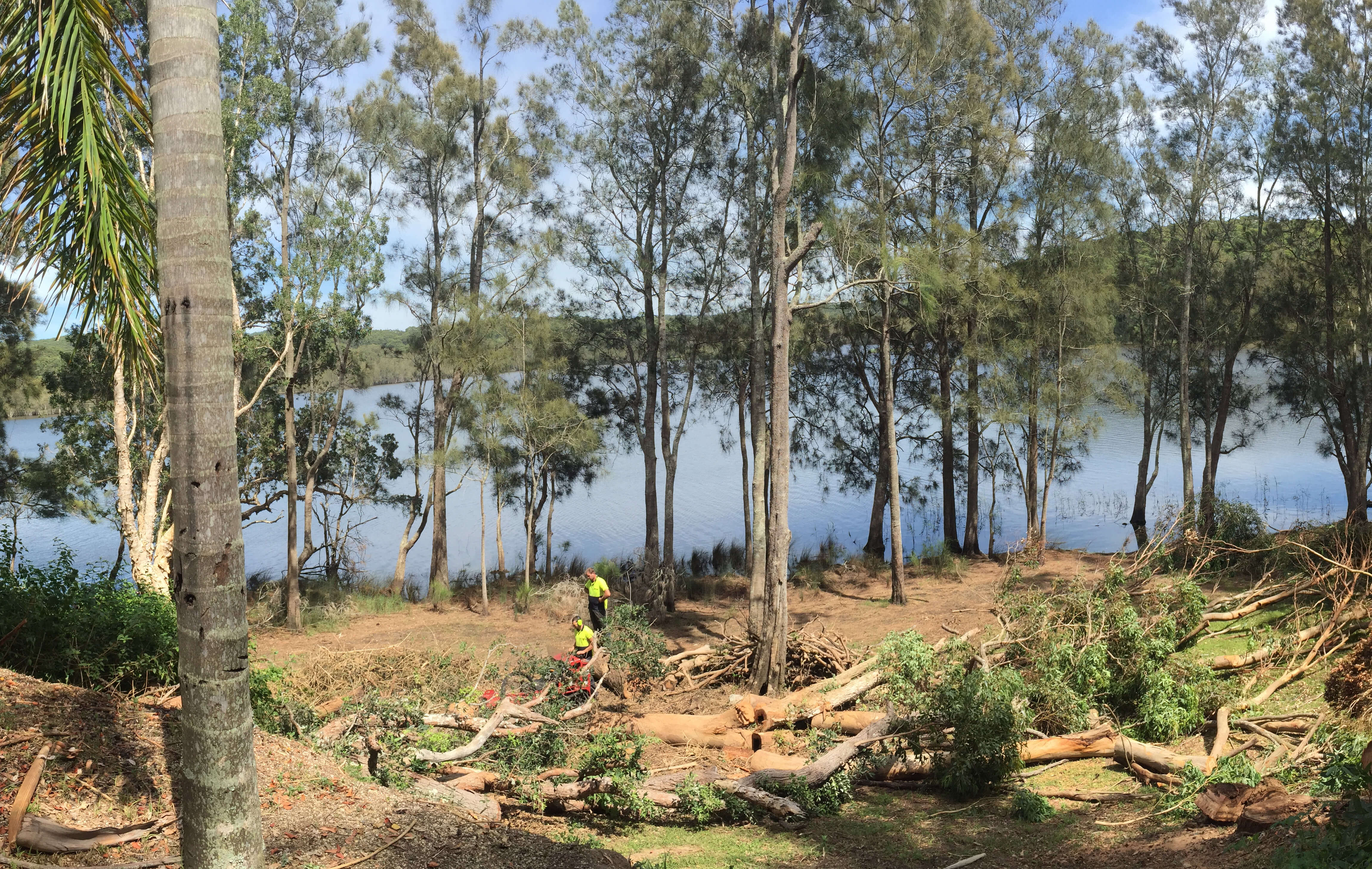 Our General Process to Land Clearing – What to Know