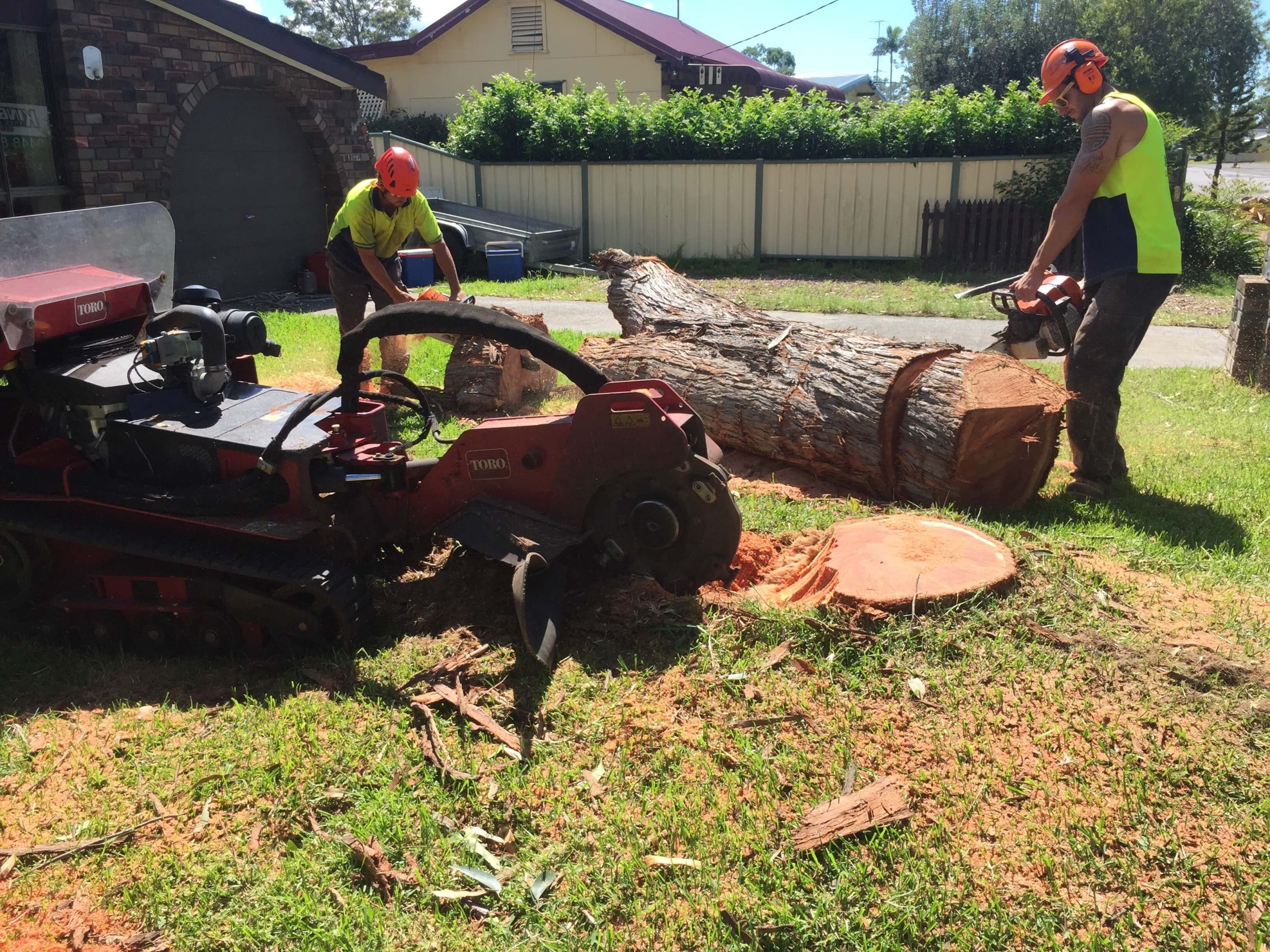 tree stump grinding services North of Sydney